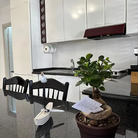 Apartment Stella Marina