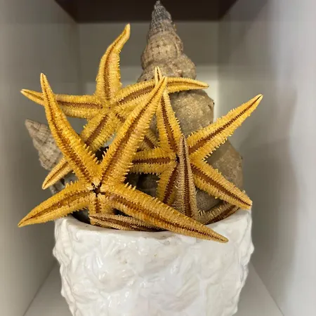 דירה Stella Marina *